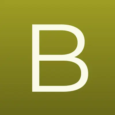 BOORISH flower, магазин, лого-визитка