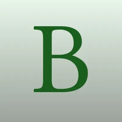 БРИГ СБ, компания, лого-визитка