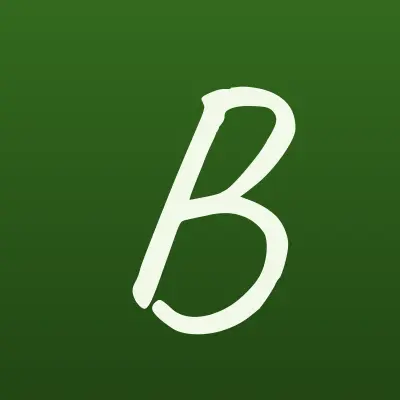 БВКартон, торгово-производственная компания, лого-визитка