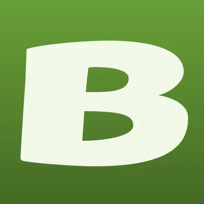 Битонир, строительная компания, лого-визитка