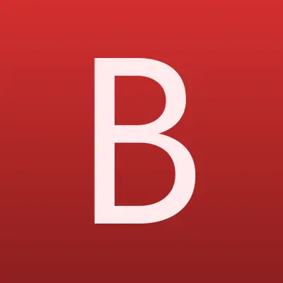 Боевое братство, Всероссийская общественная организации, лого-визитка