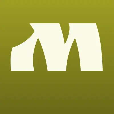 Магазин автозапчастей, ИП Гулямов Н.А., лого-визитка