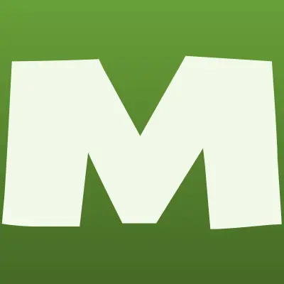 Магазин автозапчастей, ИП Власенко В.И., лого-визитка