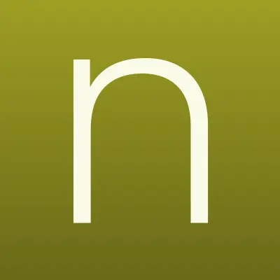 Национальный центр доставки, компания по доставке социальных выплат на дом, лого-визитка