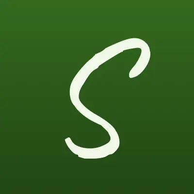 Silk Lash, салон красоты, лого-визитка