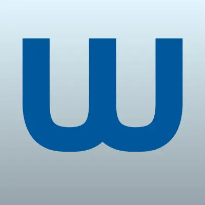 Wool stories shop, магазин пряжи, лого-визитка